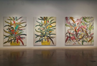 Guggenheim Gallery